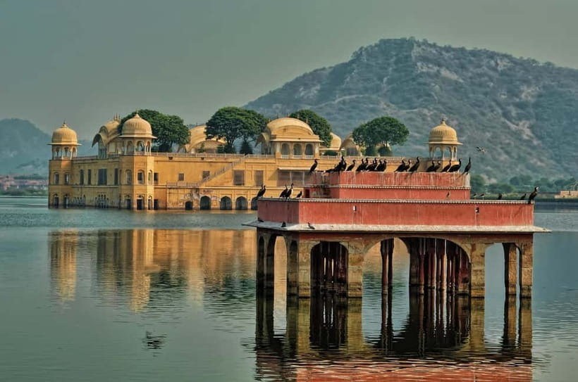 Jaipur: Explore Amber, Jaigarh & Nahargarh Fort with Sunset - Who should book this fort circuit