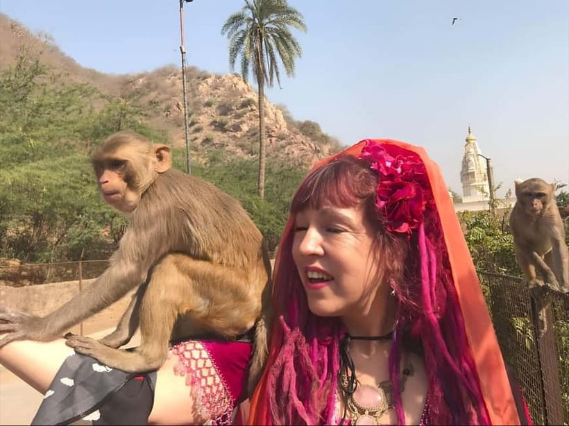 Jaipur: Explore City Sights, Amber Fort & Monkey Temple - What the $5 price does and does not cover