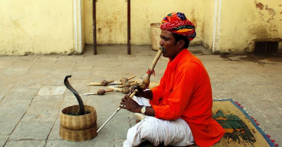 Jaipur: Full-Day Private City Tour by Car with Guide - City Palace: courtyards, halls and royal collections