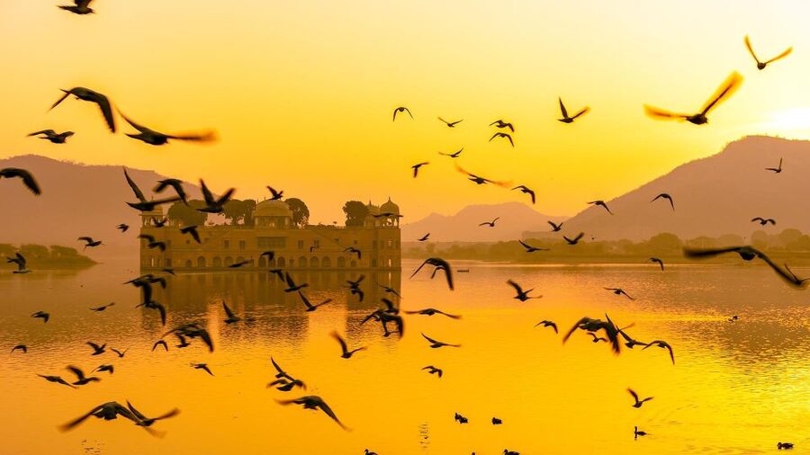 Jaipur: Full-Day Private Sightseeing Tour by Tuk Tuk - What the $9 price does and does not cover