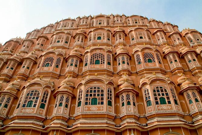 Jaipur Guided Tour with Monkey Temple - Albert Hall adds a museum hour