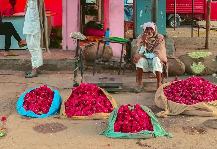 Jaipur: Half-Day Guided Sightseeing Tour with Flower Market - Hawa Mahal: a quick look at Jaipur’s icon