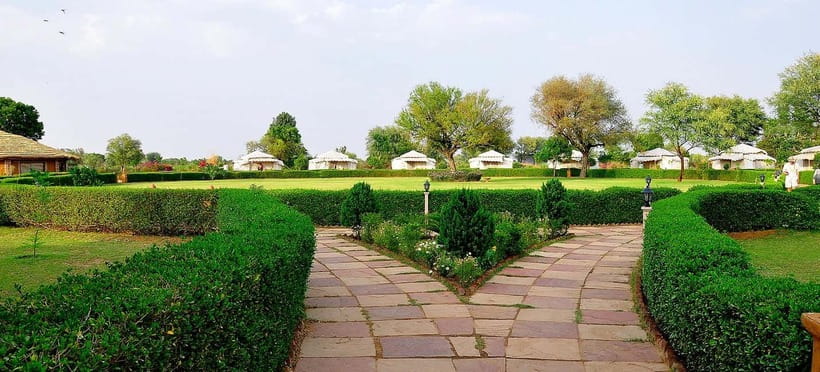 Jaipur: Haunted Bhangarh Fort and Abhaneri Stepwell Day Trip - What the $47 Price Covers