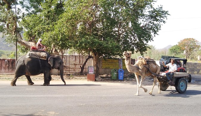 Jaipur Heritage Walking Tour - Local life, Havelis and Temples - Who will enjoy this walk