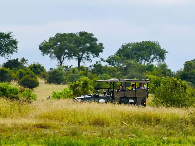 Jaipur: Jhalana Amagarh Leopard Reserve 4×4 Jeep Safari - Leopards are not the only reason to go
