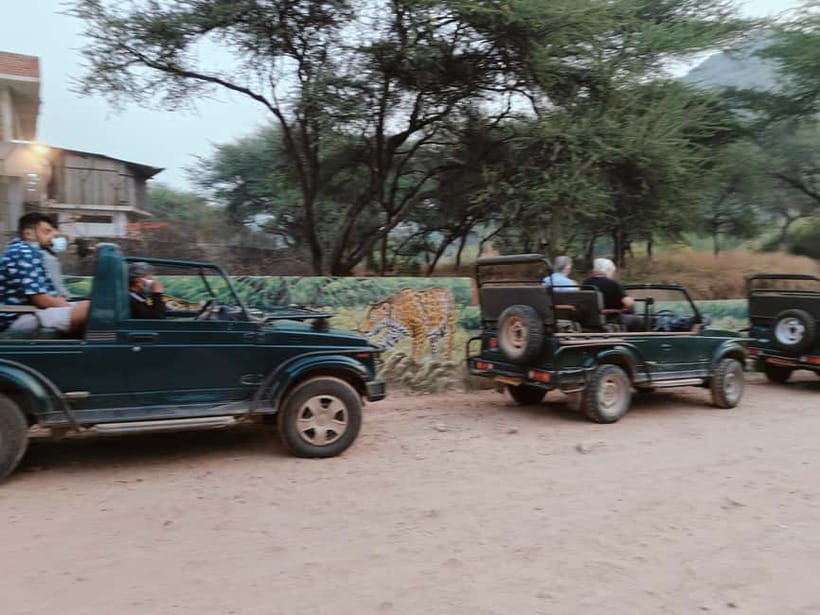 Jaipur: Jhalana Amagarh Leopard Reserve 4×4 Jeep Safari - What the $60 price buys