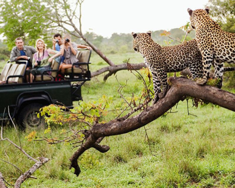Jaipur: Jhalana/Amargarh Leopard Safari Private Tour - The waterhole can reward patience