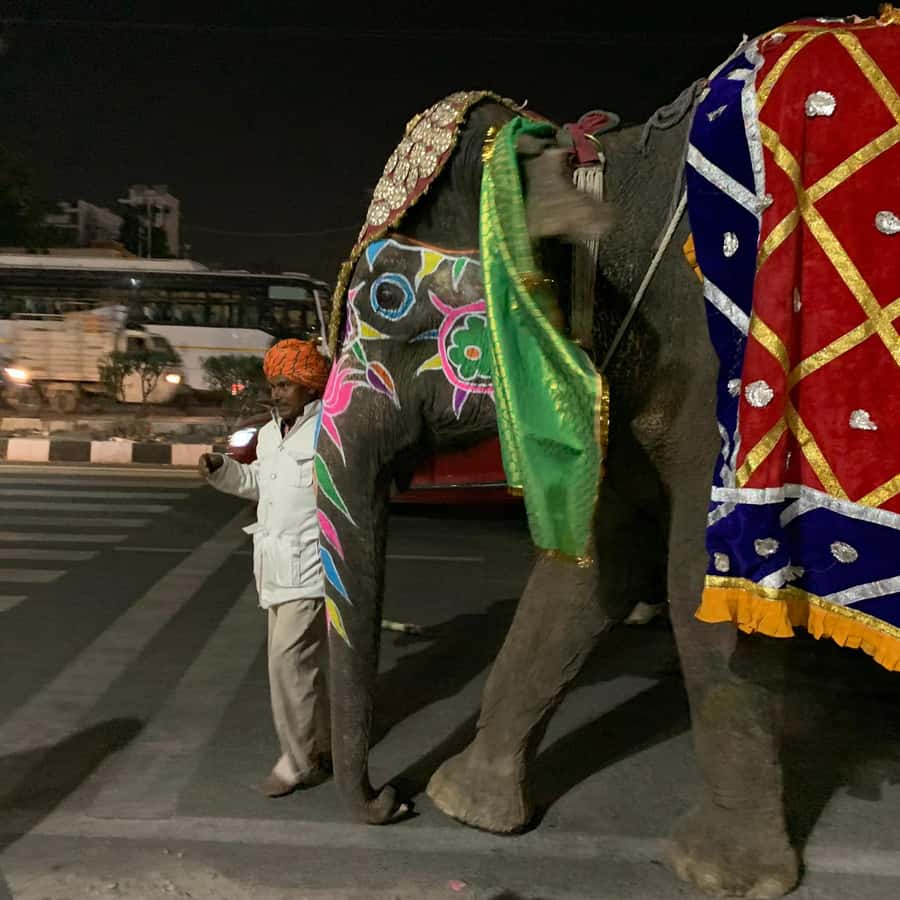 Jaipur: Night Tuk-Tuk Tour With Friendly Local Driver - What the $11 price covers