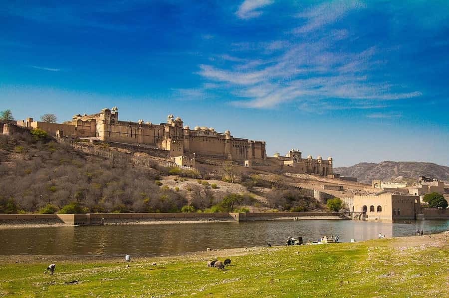 Jaipur: Private Full-Day Sightseeing Tour by Tuk-Tuk - Amber Fort and the stepwell nearby