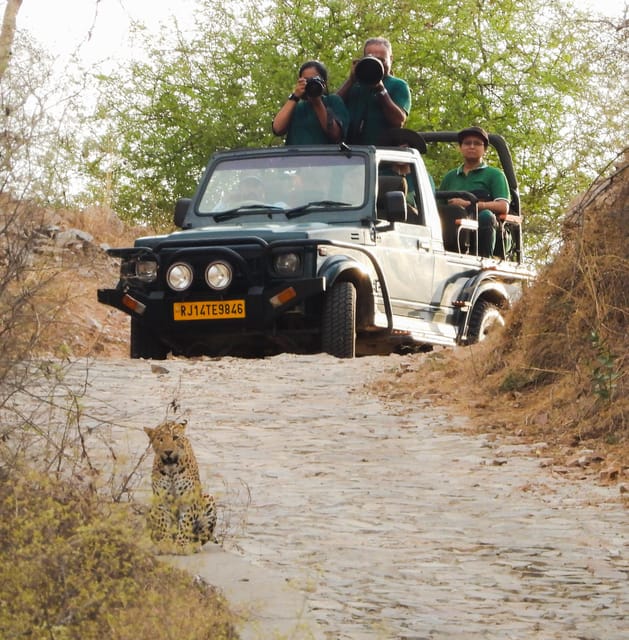 Jaipur: Private Jhalana Leopard Safari Tour - A closer look at conservation