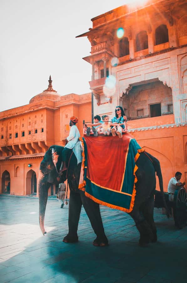 Jaipur: Private PinkCity & Stepwell Heritage Tour with Guide - The day’s highlights at a glance