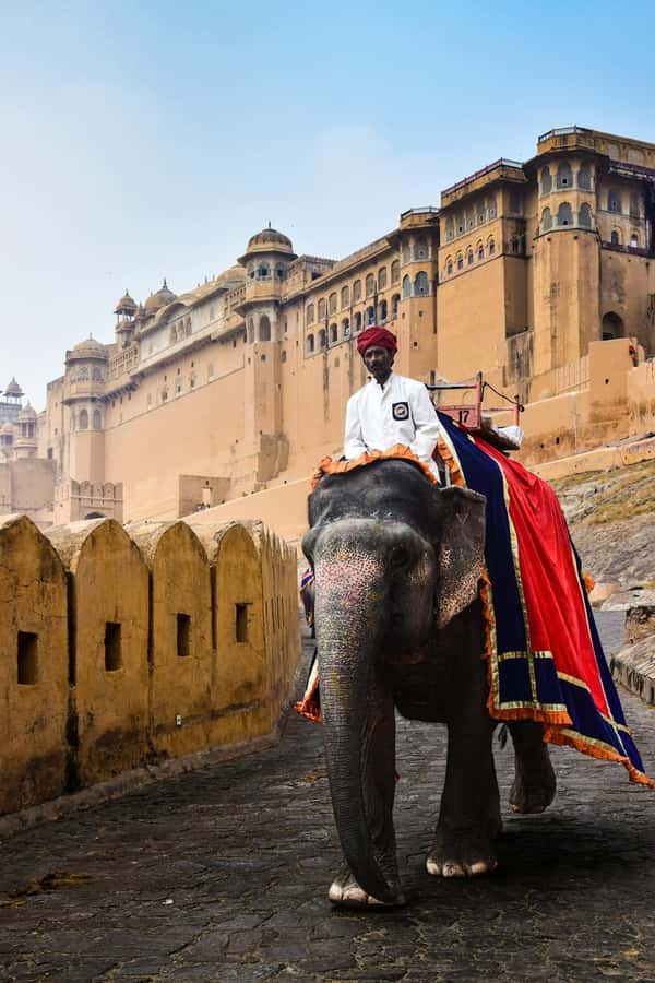 Jaipur: Private PinkCity & Stepwell Heritage Tour with Guide - What the guide and private car add