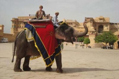 Jaipur Tour ( Pink City ) by Car From Delhi – All Inclusive