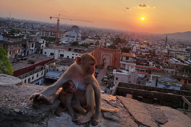 Jaipur Tuk Tuk Sightseeing Tour with Monkey Temple Sunset View - Jantar Mantar: instruments made to read the sky