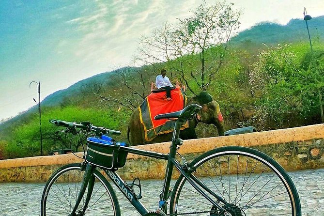 Nahargarh Cycle Tour in Jaipur - Should you book the Nahargarh Cycle Tour?