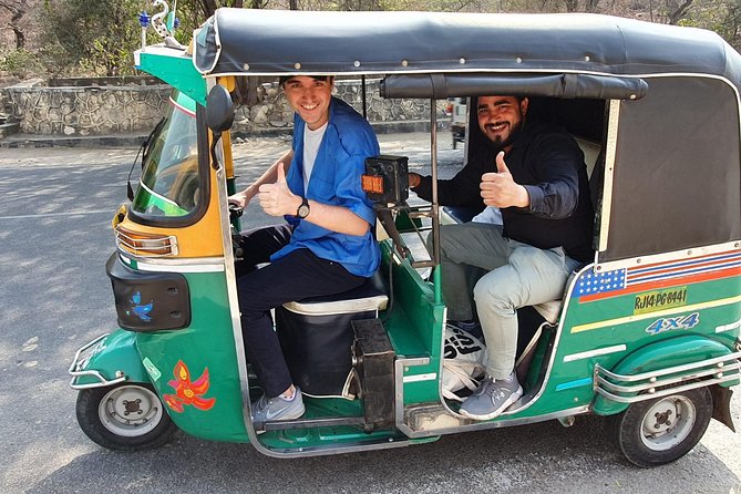 Pink city private Day Tour by Tuk Tuk with English speaking driver.. - City Palace: a central Jaipur highlight