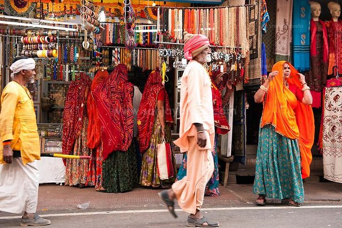 Pushkar Day Trip from Jaipur – Private Car, Safari, Guide & Lunch - Should you book the Pushkar day trip?