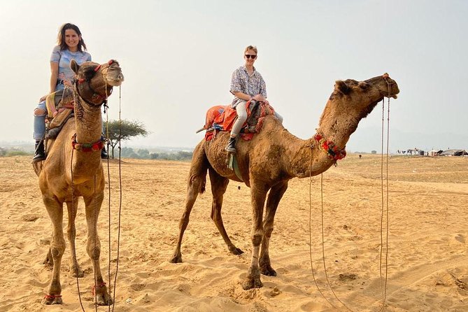 Pushkar Day Trip from Jaipur – Private Car, Safari, Guide & Lunch - Savitri Temple above the town