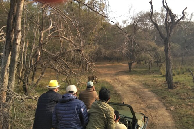 Ranthambore National Park - The guide, vehicle and group experience