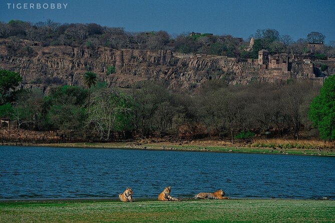 Ranthambore National Park - Is $34.96 good value?