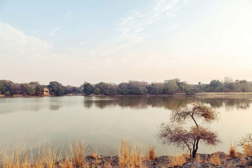 Ranthambore National Park: Safari Ticket with Pickup Option - Is $54 good value?