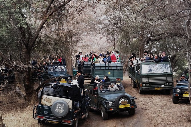 Ranthambore: Sharing Safari In Canter Or Gypsy Vehicle All Incl. - Choosing a canter or gypsy