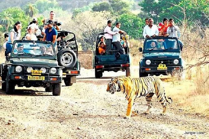 Ranthambore Wildlife Safari with Tickets & Transfer Options - Key points before you book