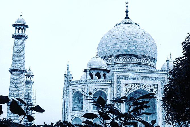 Skip the line with Private Tour Guide for Taj Mahal & Agra Fort - Agra Fort adds a different chapter