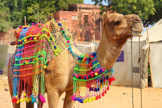 Spiritual City Walking Tour-THE Pushkar Route - Key points to know