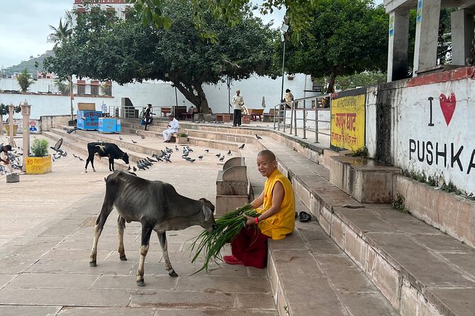Spiritual City Walking Tour-THE Pushkar Route - Brahma Temple: Pushkar’s best-known shrine