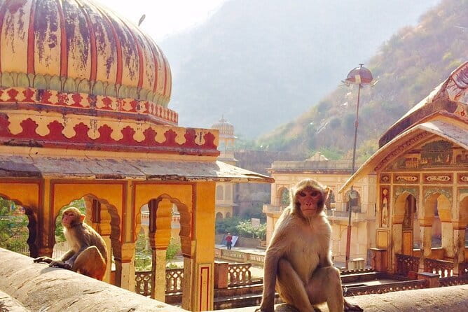 Travel Through the Streets of Jaipur by Tuktuk with a Local - Tuk-tuk or air-conditioned car?