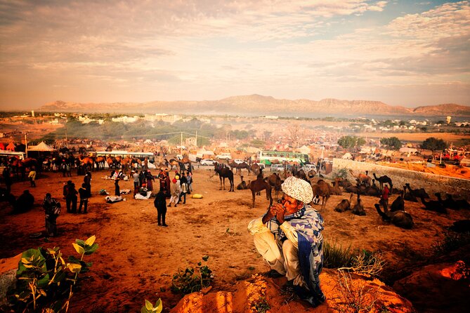 Uncover Hidden Treasures of Rural Life on a Village Tour - Leaving Jaipur for Jamwa Ramgarh