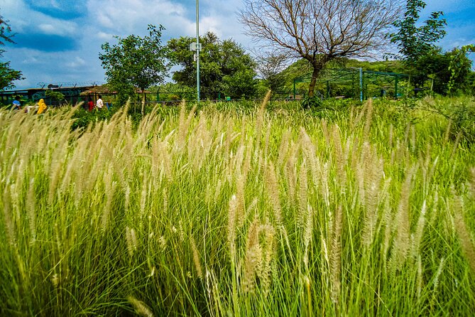 Uncover Hidden Treasures of Rural Life on a Village Tour - Meeting village life beyond the monuments