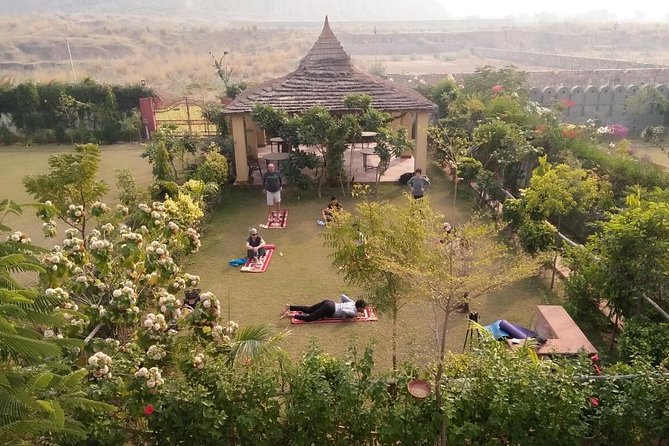 Yoga In Jaipur - A change of pace from Jaipur sightseeing